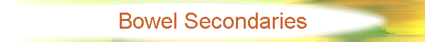 Bowel Secondaries