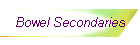 Bowel Secondaries
